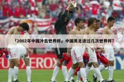 02年世界杯中国队怎么进的