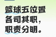 打篮球五大位置