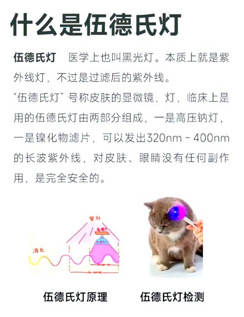 伍德灯检查注意事项