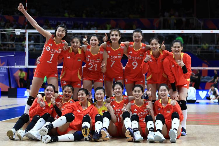 2012年奥运会女排都有谁