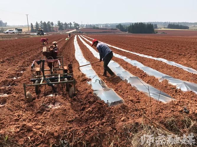 热火朝天忙春种指什么波