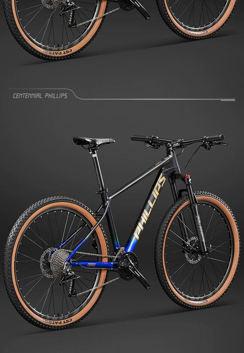 菲利普自行车算什么档次