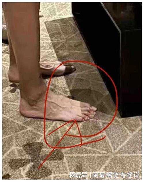 易建联身高几尺