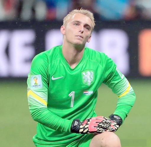 巴西世界杯 荷兰