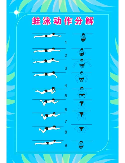 游泳比赛项目介绍