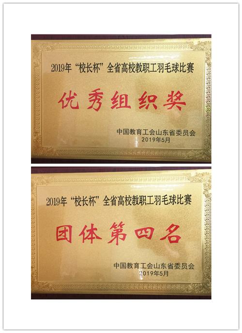 国家羽毛球队队员工资