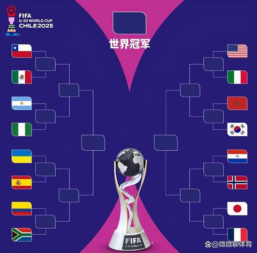 世界杯12强赛什么意思