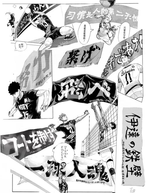 排球少年哔哩哔哩没有