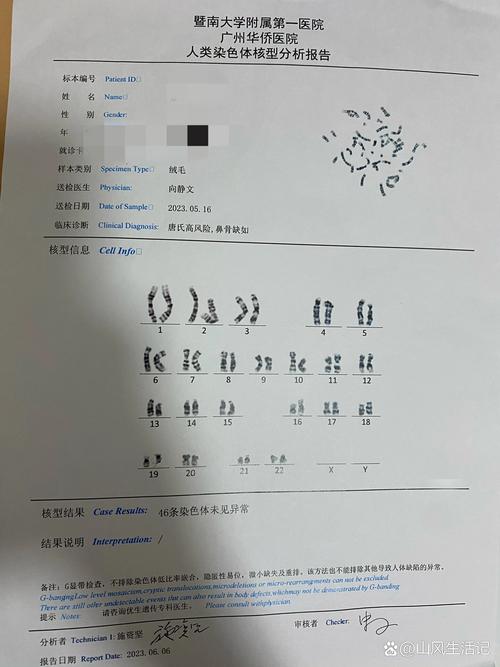 朱利叶斯兰德尔体测数据