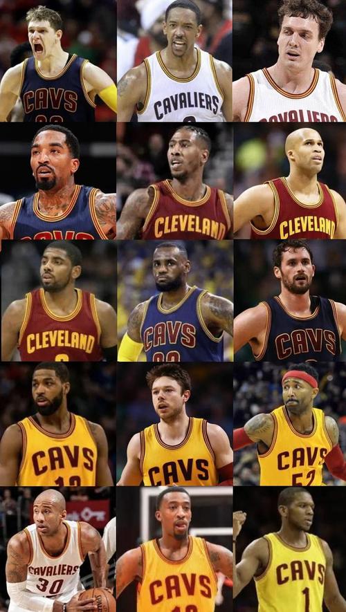 2015骑士总决赛数据