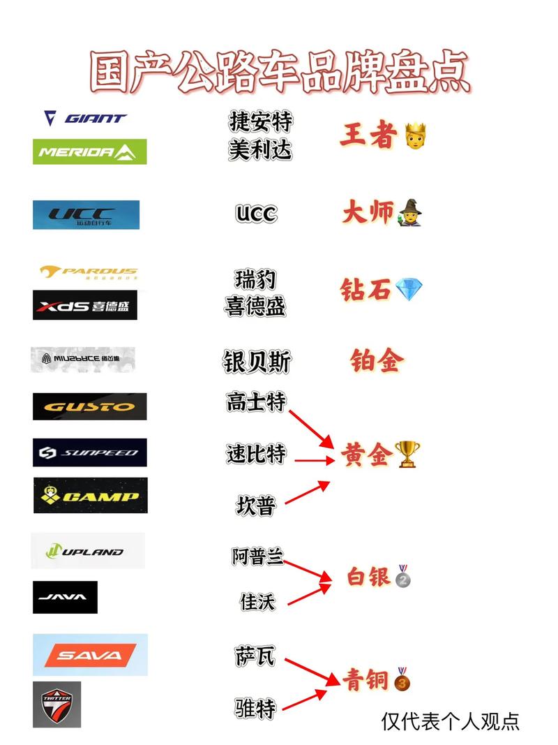 公路赛十大品牌