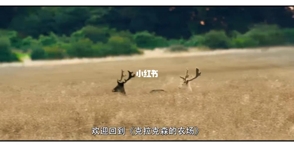 克拉克森的农场第二季什么时候