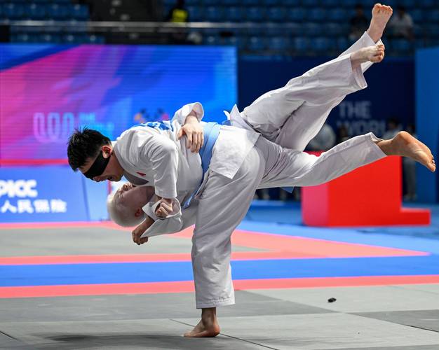 奥运会柔道项目几个