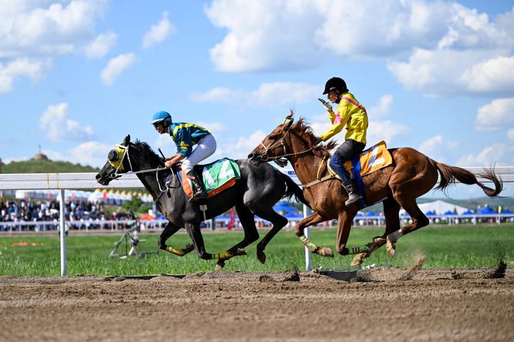 体育方面的比赛