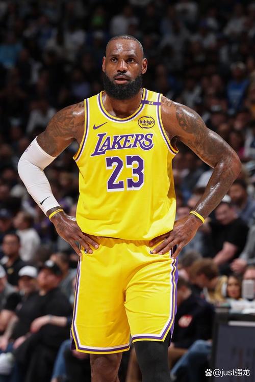 湖人队打附加赛