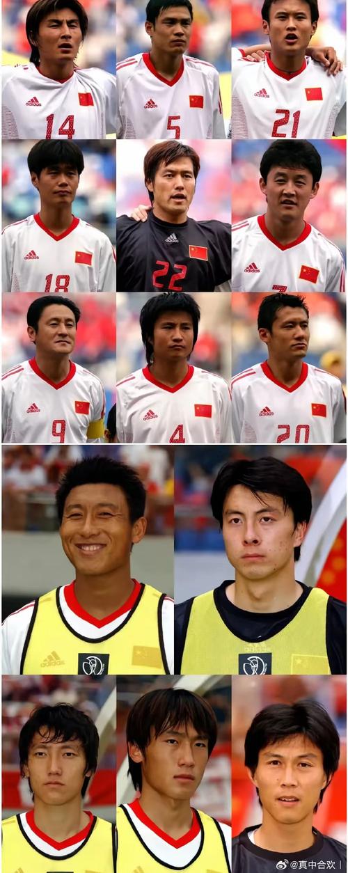 2002世界杯中国队名单谁确定的