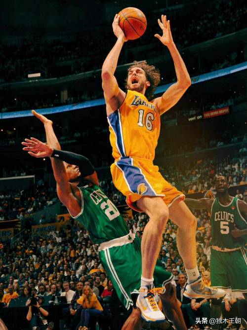 加索尔在湖人的作用