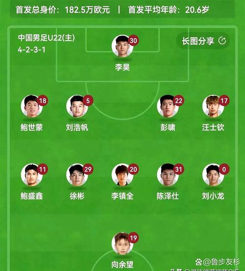 cba球队青训几级梯队