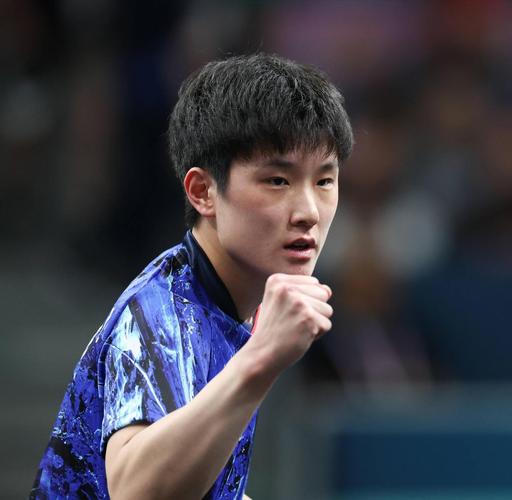 张本智和获得的冠军