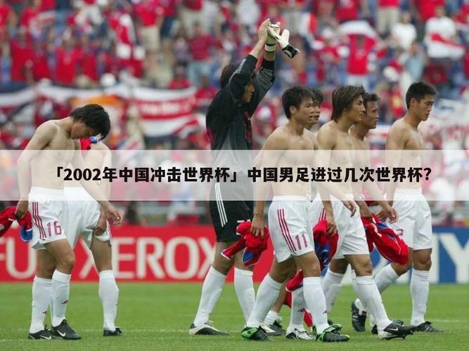02年世界杯中国队怎么进的